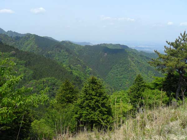 Mount_Oyama_hiking_7